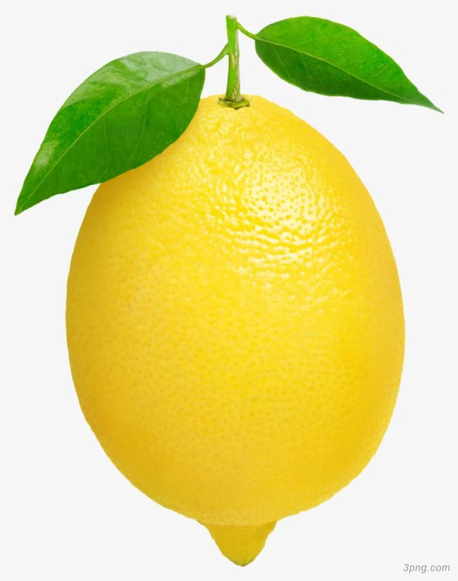 High Quality Fresh Citrus Fruit Fresh Lemon